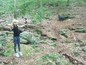 Rough Cut Lodge,Galeton>>Gaines,3 star