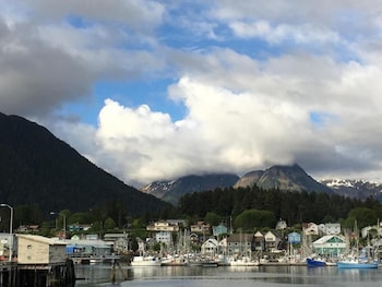 sitka