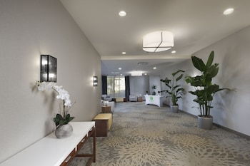 holiday inn asheville biltmore vlg area