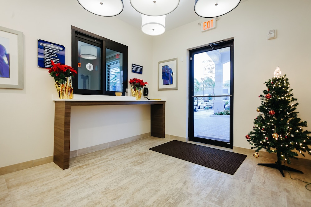 palace inn city center