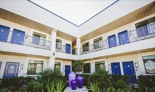 palace inn city center