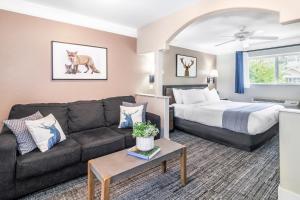 inn at mount shasta