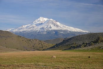 Inn At Mount Shasta,Near Mount Shasta City Park,2 star