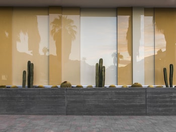 kimpton rowan palm springs hotel by ihg