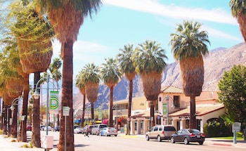 kimpton rowan palm springs hotel by ihg