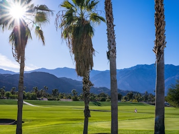kimpton rowan palm springs hotel by ihg