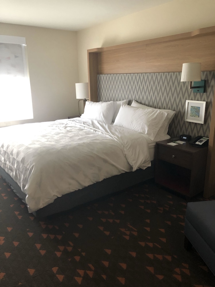 holiday inn hotel and suites mount pleasant