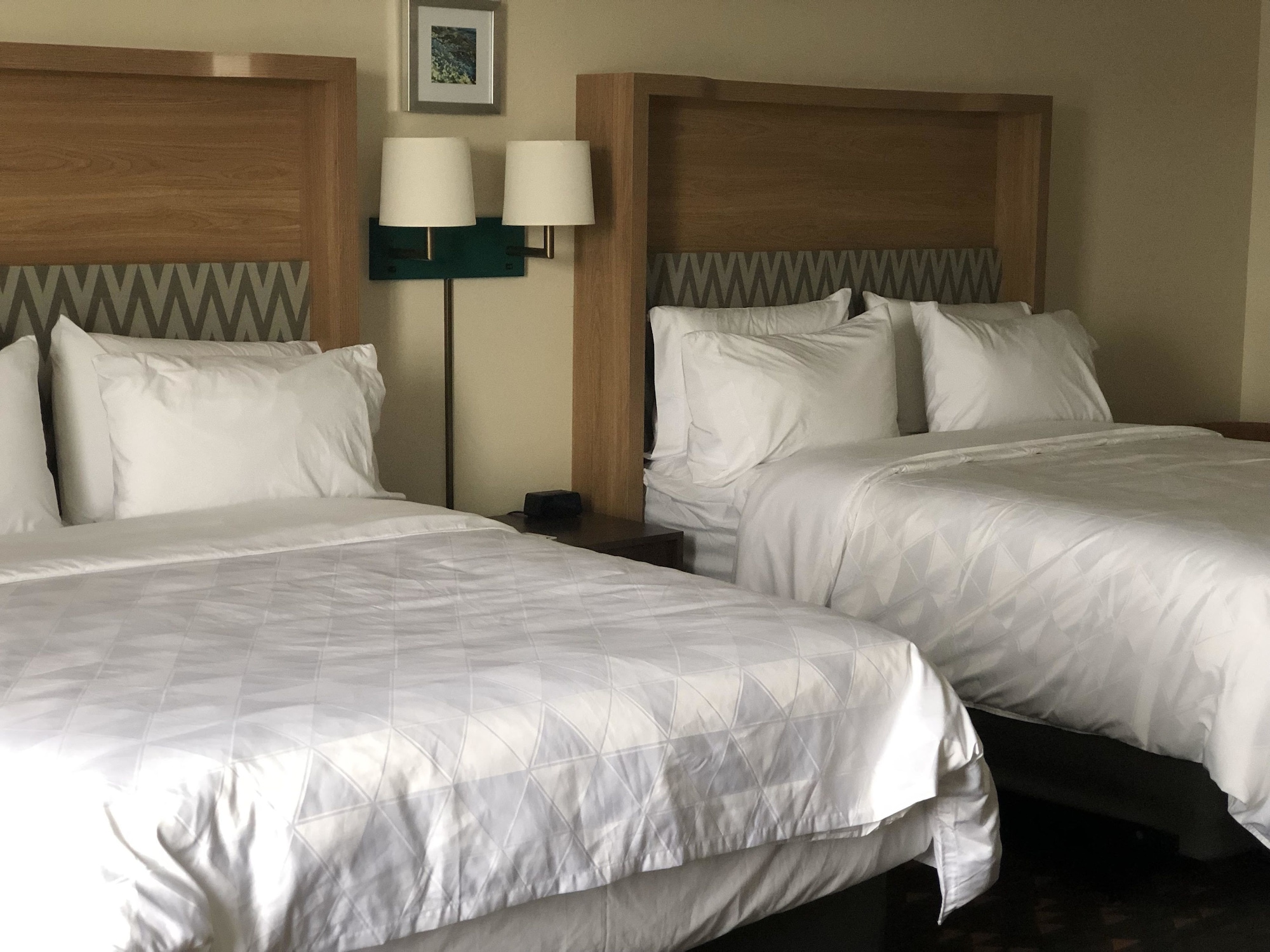 holiday inn hotel and suites mount pleasant