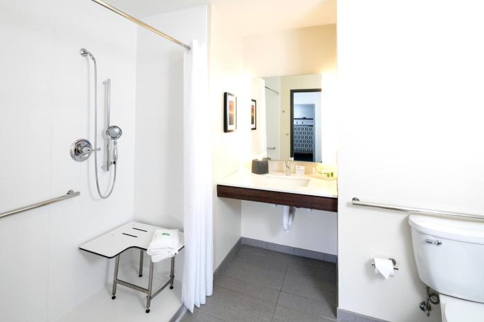 holiday inn hotel and suites mount pleasant