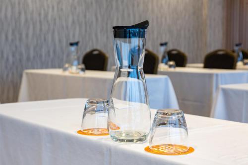 holiday inn hotel and suites mount pleasant