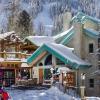 alpine village suites