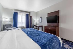 comfort inn and suites oklahoma city south i 35
