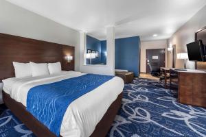 comfort inn and suites oklahoma city south i 35