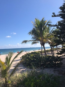 lauderdale by the sea