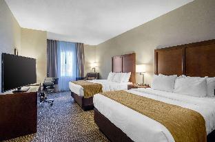 comfort inn and suites