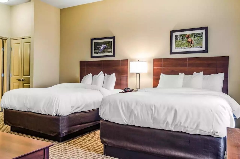 mainstay suites hackberry sportsmans lodge