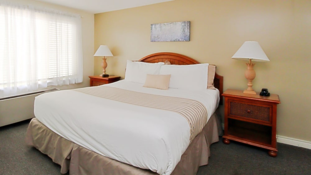 the ponds at foxhollow