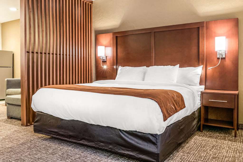 comfort suites florence cincinnati south