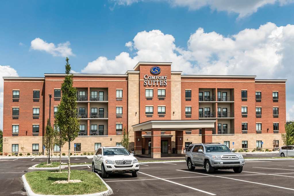comfort suites florence cincinnati south