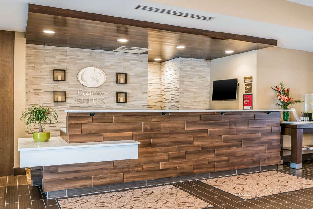 comfort suites florence cincinnati south