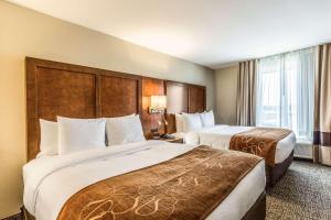 comfort suites