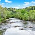 ellijay