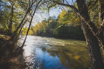 ellijay