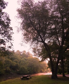 ellijay