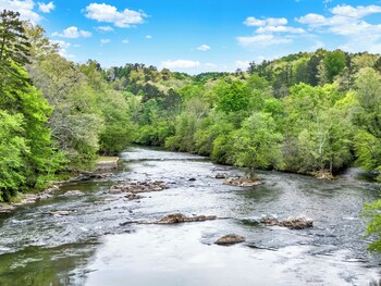 ellijay