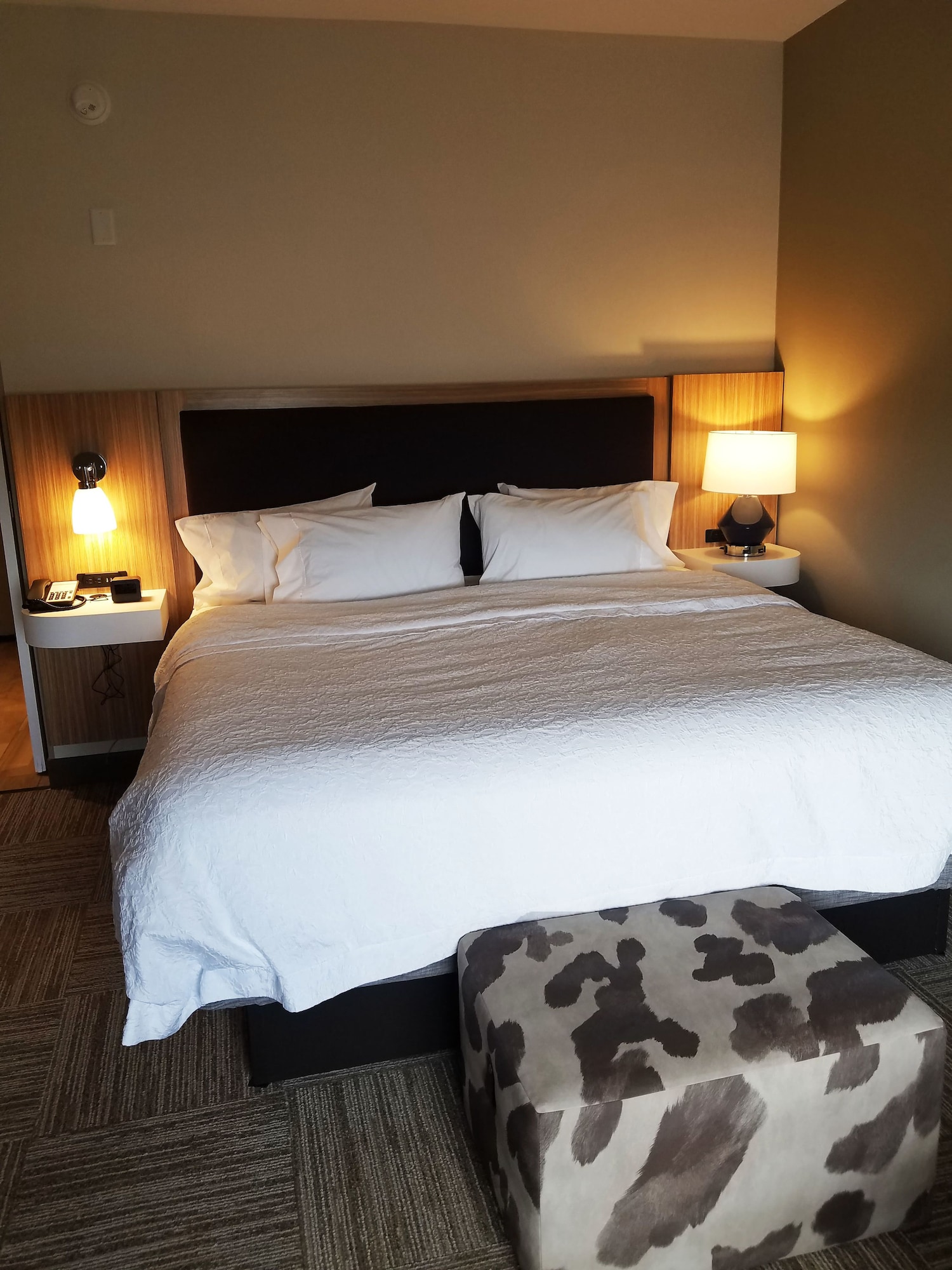 hampton inn bulverde texas hill country