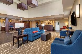 Comfort Suites Kyle,Kyle>>Hays,3 star