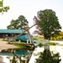 ymca trout lodge