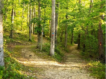 potosi