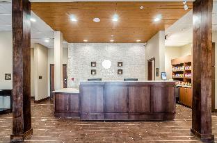 comfort inn and suites augusta