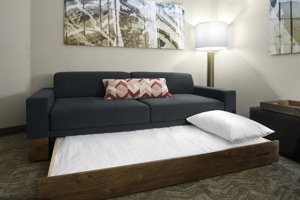 Springhill Suites By Marriott Kansas City Lenexa City Center,Johnson>>Grandview,3 star