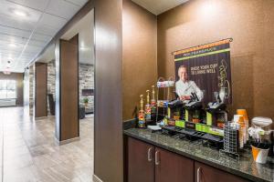 cobblestone hotel and suites stevens point