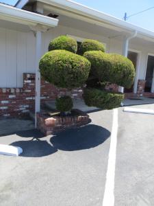Old Marina Inn,Monterey>>Marina,1 star