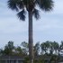 gulf coast inn