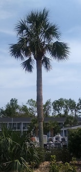 gulf coast inn