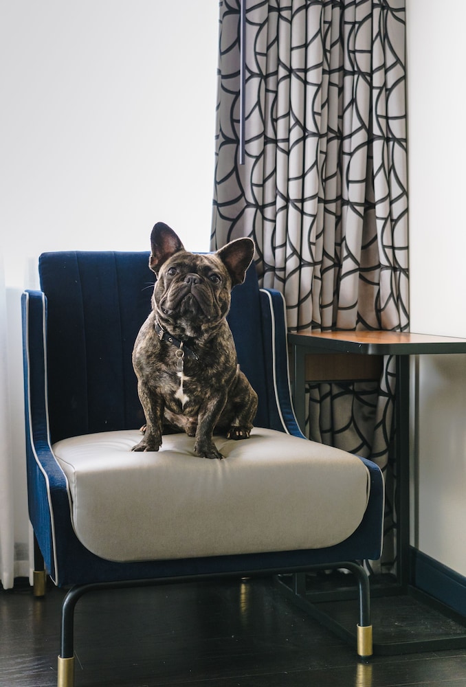 holston house nashville in the unbound collection by hyatt