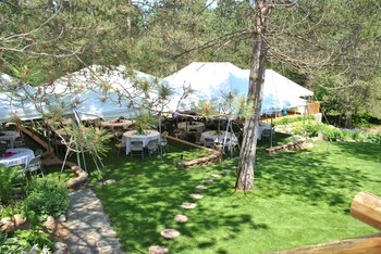 horton creek inn bandb