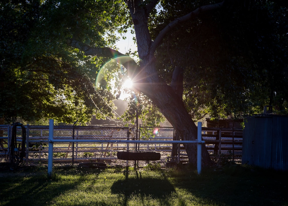 red horse bed and breakfast