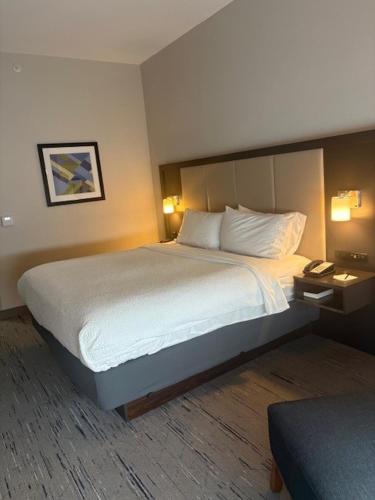 holiday inn express and suites summerville by ihg
