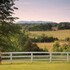 locust dale
