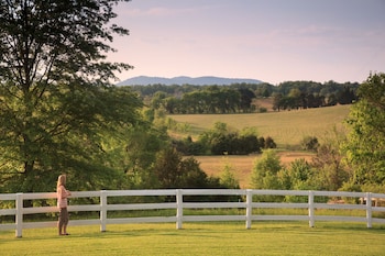 locust dale