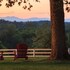 locust dale
