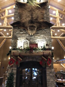 kodiak mountain resort