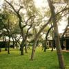 live oaks bed and breakfast