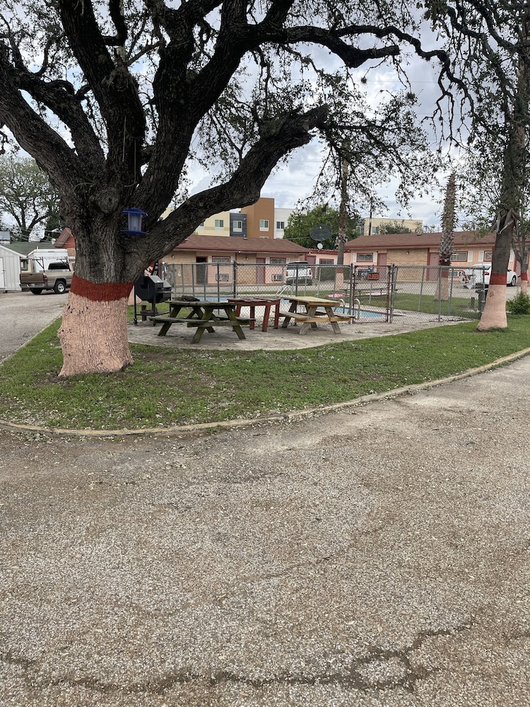 cuero