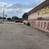 cuero